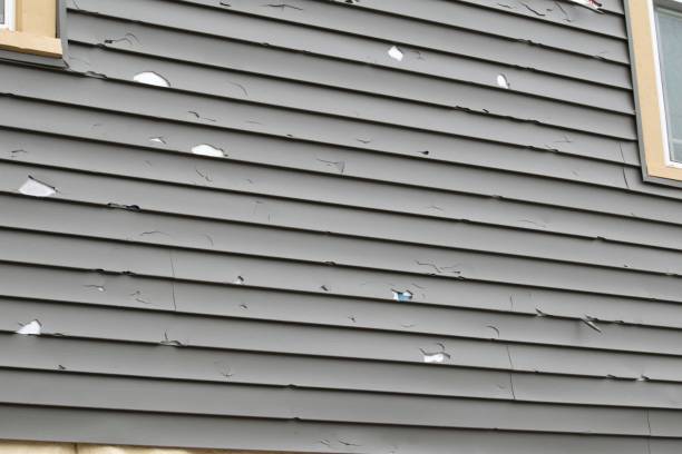 Best Insulated Siding Installation  in Leisure Knoll, NJ