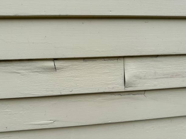 Best Siding for New Construction  in Leisure Knoll, NJ